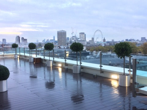 Exterior Plants Overlooking London