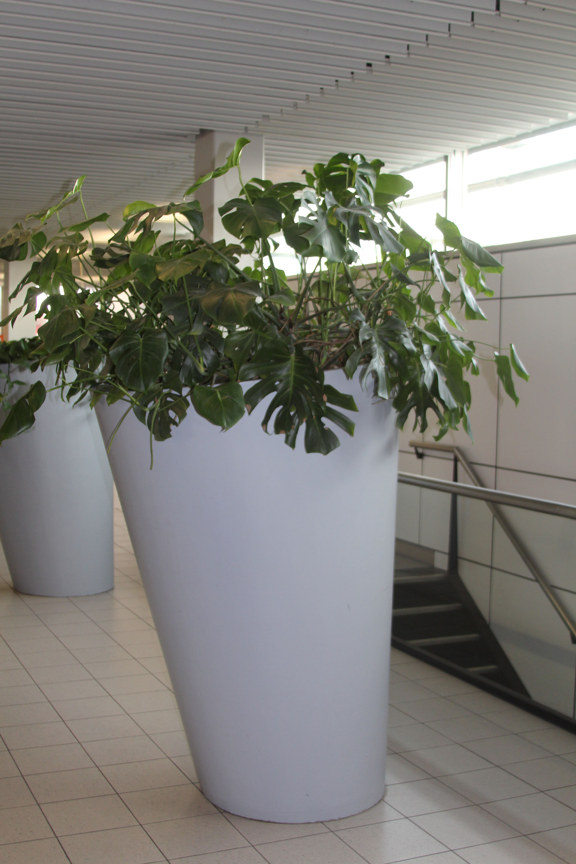 Planter
