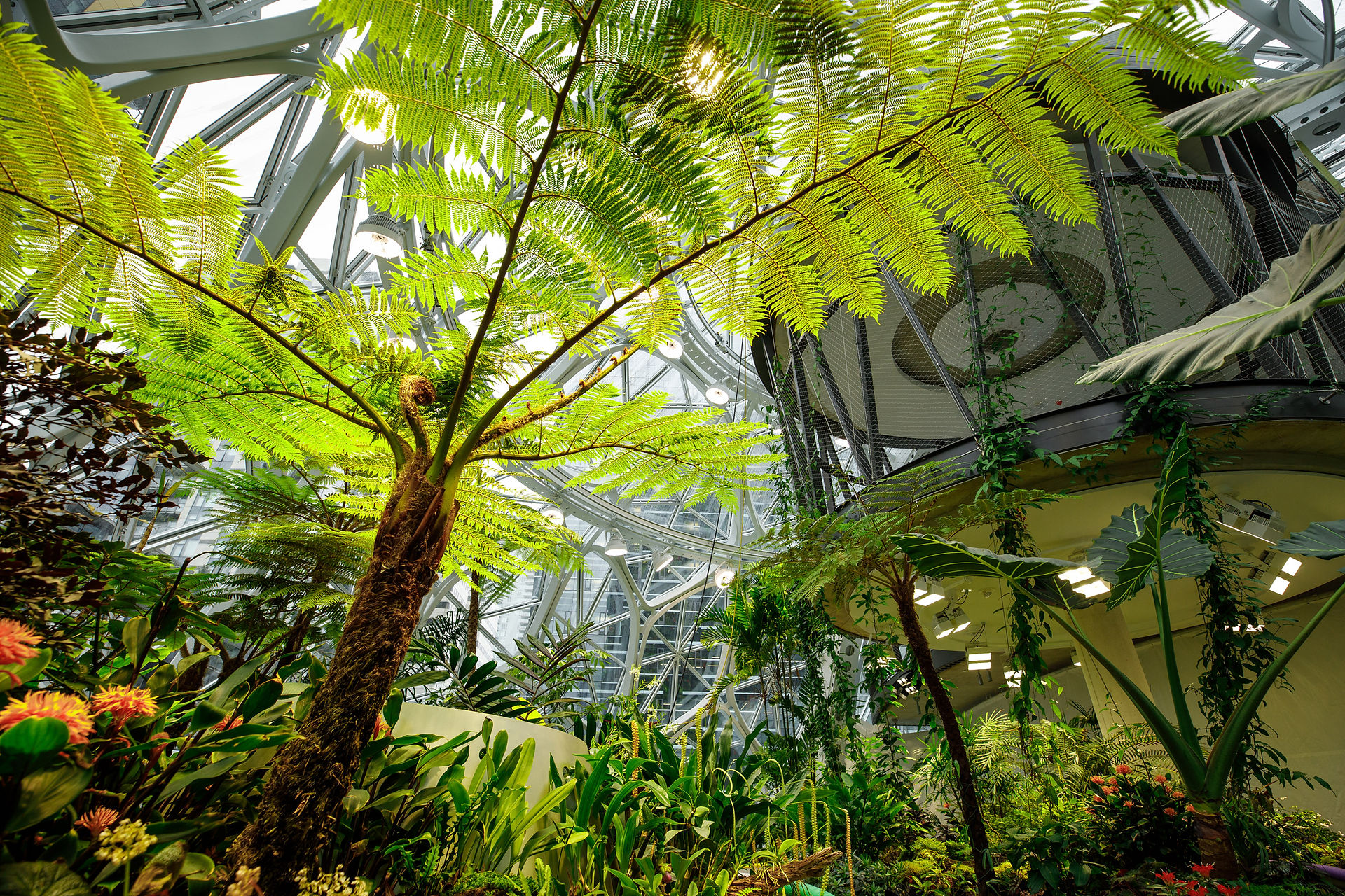 the-spheres-amazon-offices-seattle_dezeen_2364_col_5