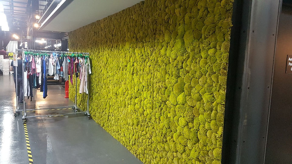 Moss Wall