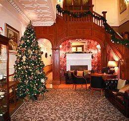 Office Xmas Trees Uk Christmas Tree Rentals Office Xmas Trees Uk Christmas Tree Rentals