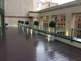Exterior Plant Displays