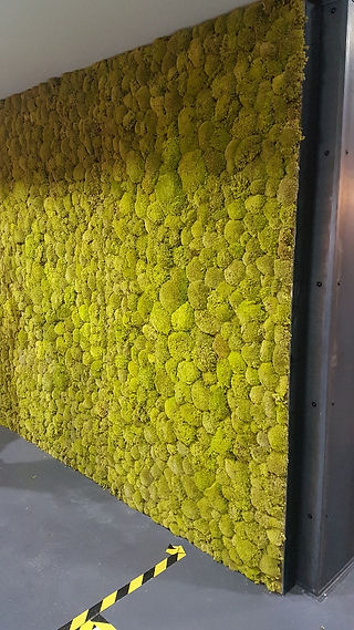 Moss Wall