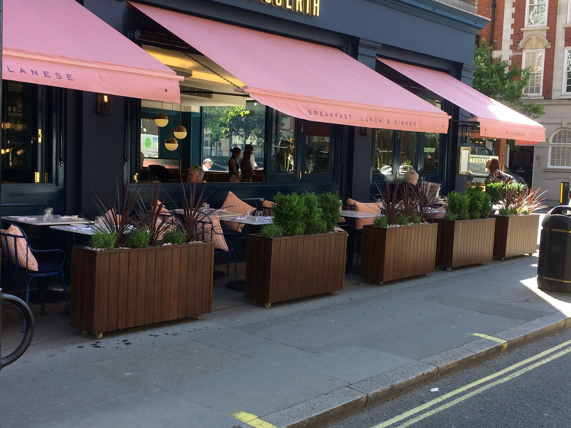 Plants for Restaurant