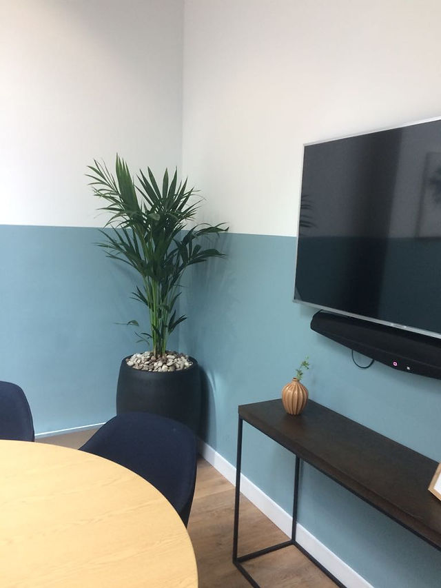 Plant Displays for Offices