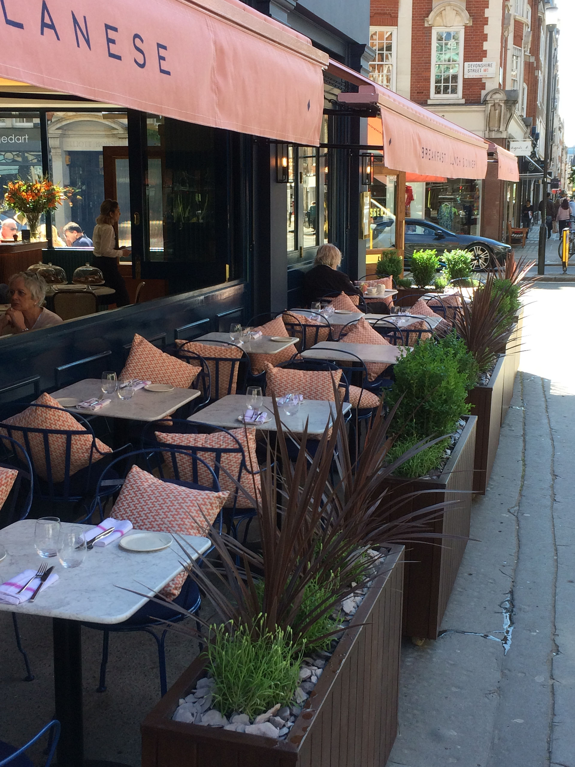 Plants for Restaurant