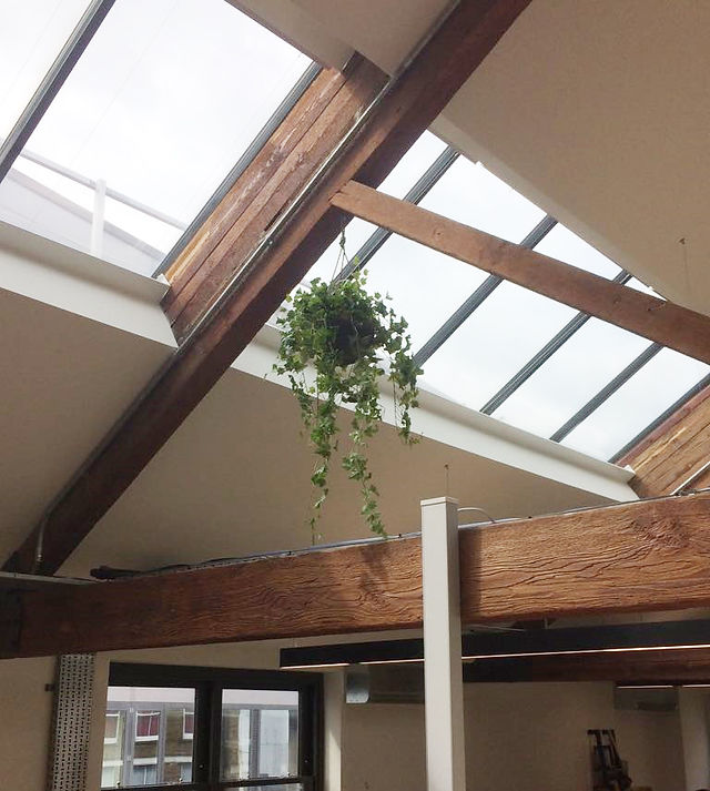 Hanging Baskets for Offices
