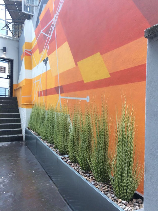 Plants for Outside