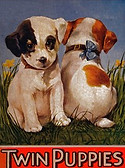 My Twin Puppies.jpg