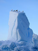 antarctica-4959547_1280.jpg