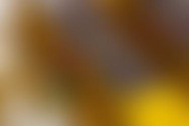 Elliptical vibrating screen close-up