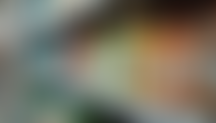 Pricing tag on retail product shelf