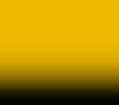 Untitled design (42).png