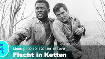 FLUCHT IN KETTEN - TV-Toast