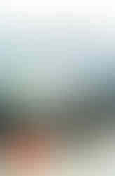 Buchcover von DIE DOLMETSCHERIN