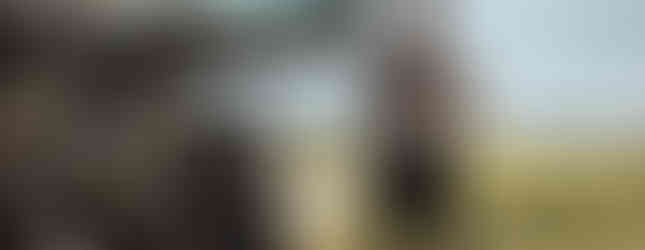 Filmbild aus SISU: ROAD TO REVENGE