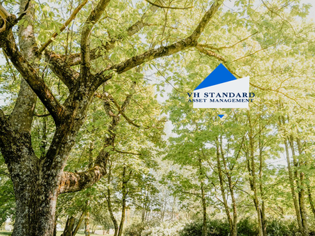 VH Standard Merger Arb Fund - Quarterly Letter (Q1 '25)