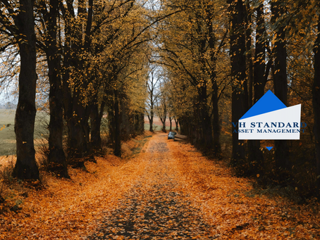VH Standard Merger Arb Fund - Monthly Letter (October '24)