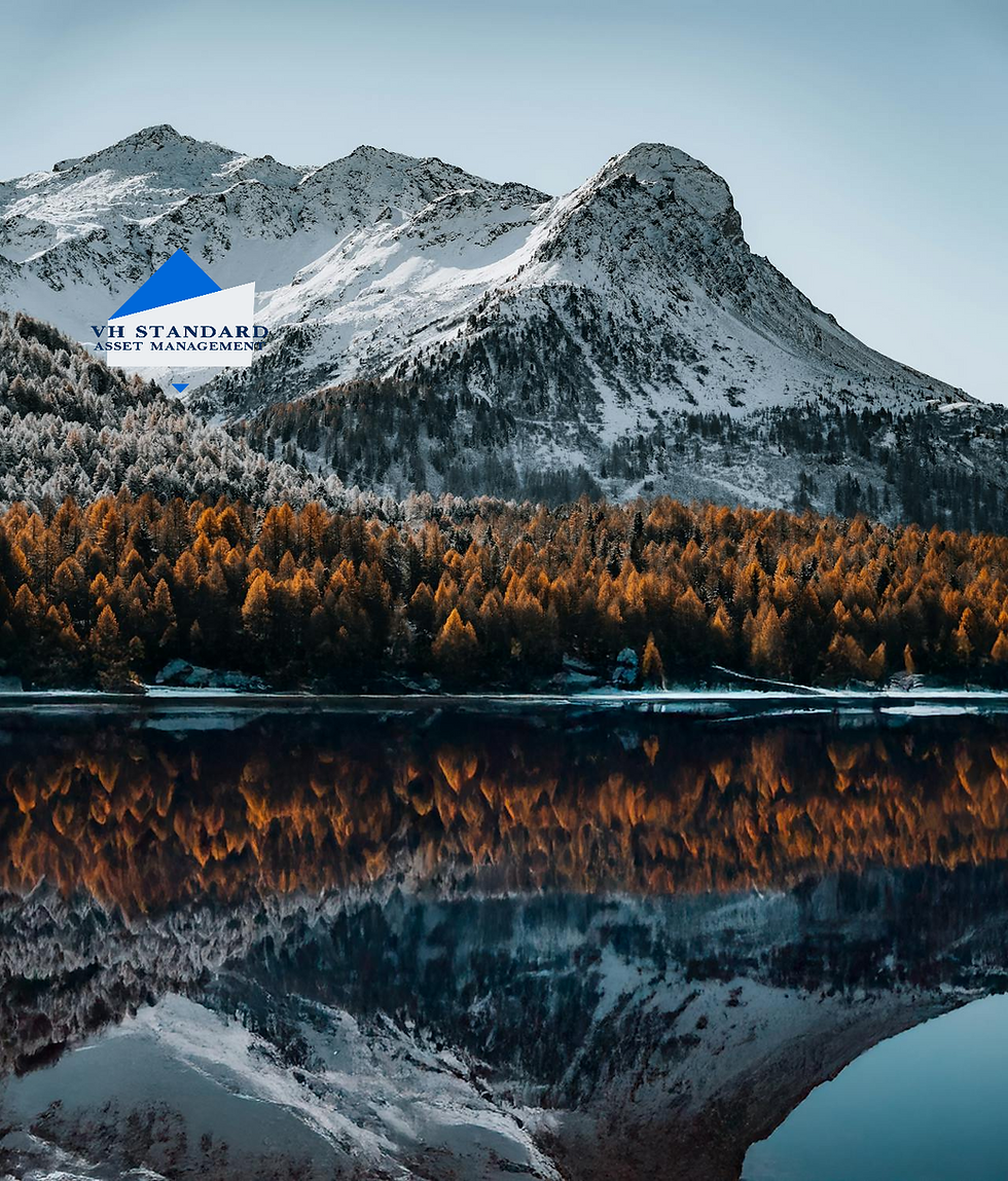 VH Standard Merger Arb Fund - Quarterly Letter (Q3 '25)