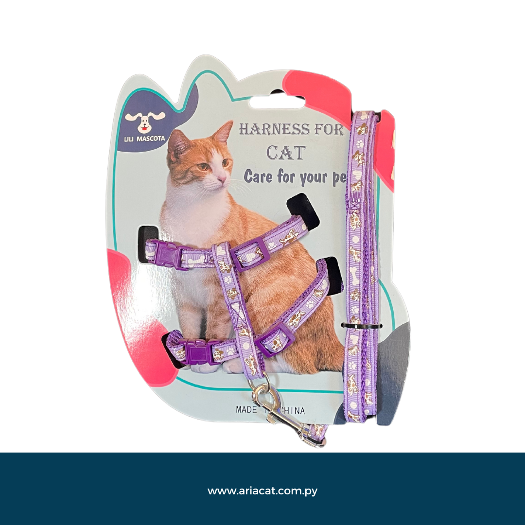 Pechera gatos con dibujos 18 a 30cm 21 a 36cm