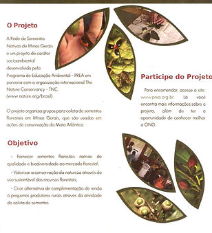 PROJETO SEMENTES.jpeg