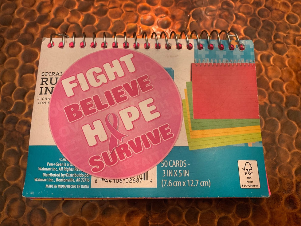 Nora and the Light in the Darkness