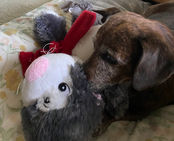 Jesus Christ our King