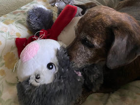 Jesus Christ our King