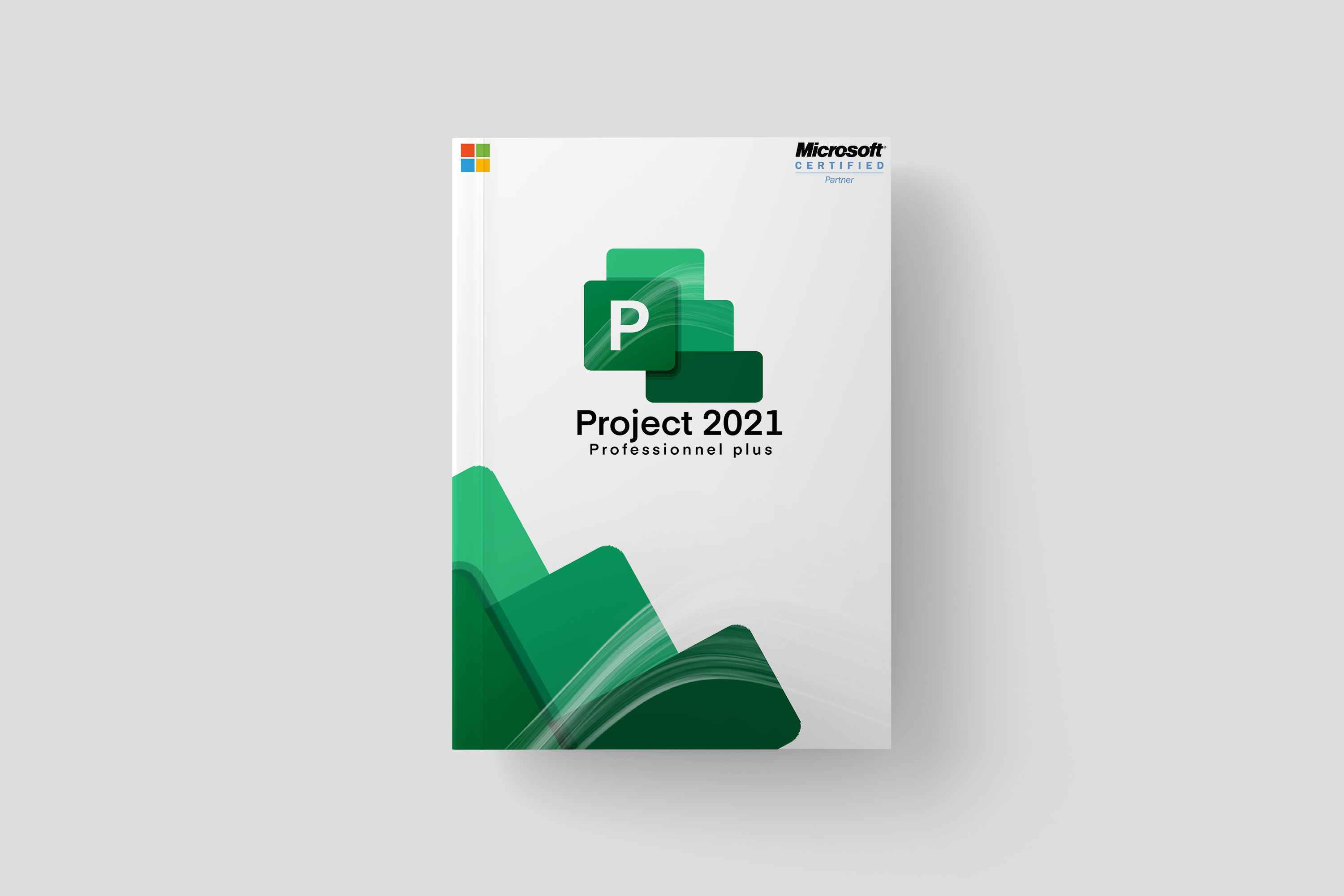 Project 2021 Professional Plus For 1 PC devices [ Online activation ]