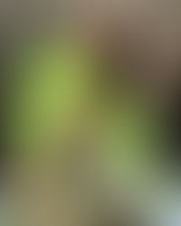 Escort Amsterdam | girlsescortamsterdam.nl