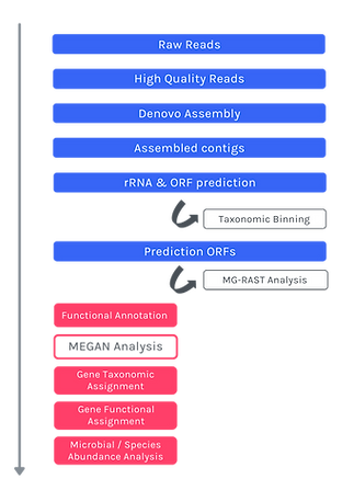 Meta Sequencing (2).png