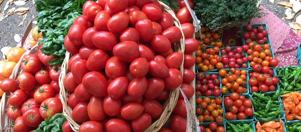 Yes You Can! 2022 Tomato Canning Workshop