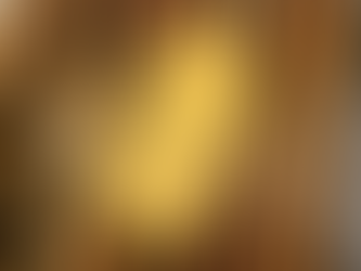 エルメス シルクインアザップラウンドファスナー