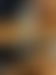 ロレックス レディースデイトジャスト