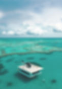 Untitled design (1)_edited.jpg