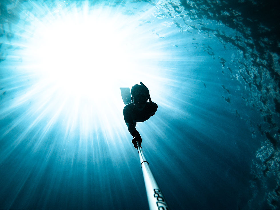 #270Pro - Freediving