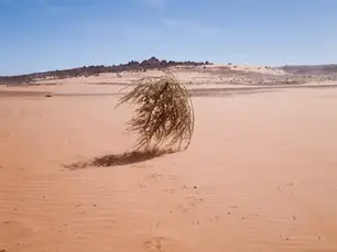 El miedo a quedarse en blanco