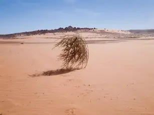 El miedo a quedarse en blanco