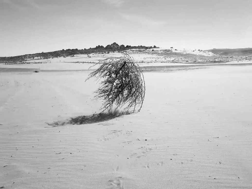 miedo a quedarse en blanco