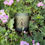 Thumbnail: Freyr organic candle in flowerbed