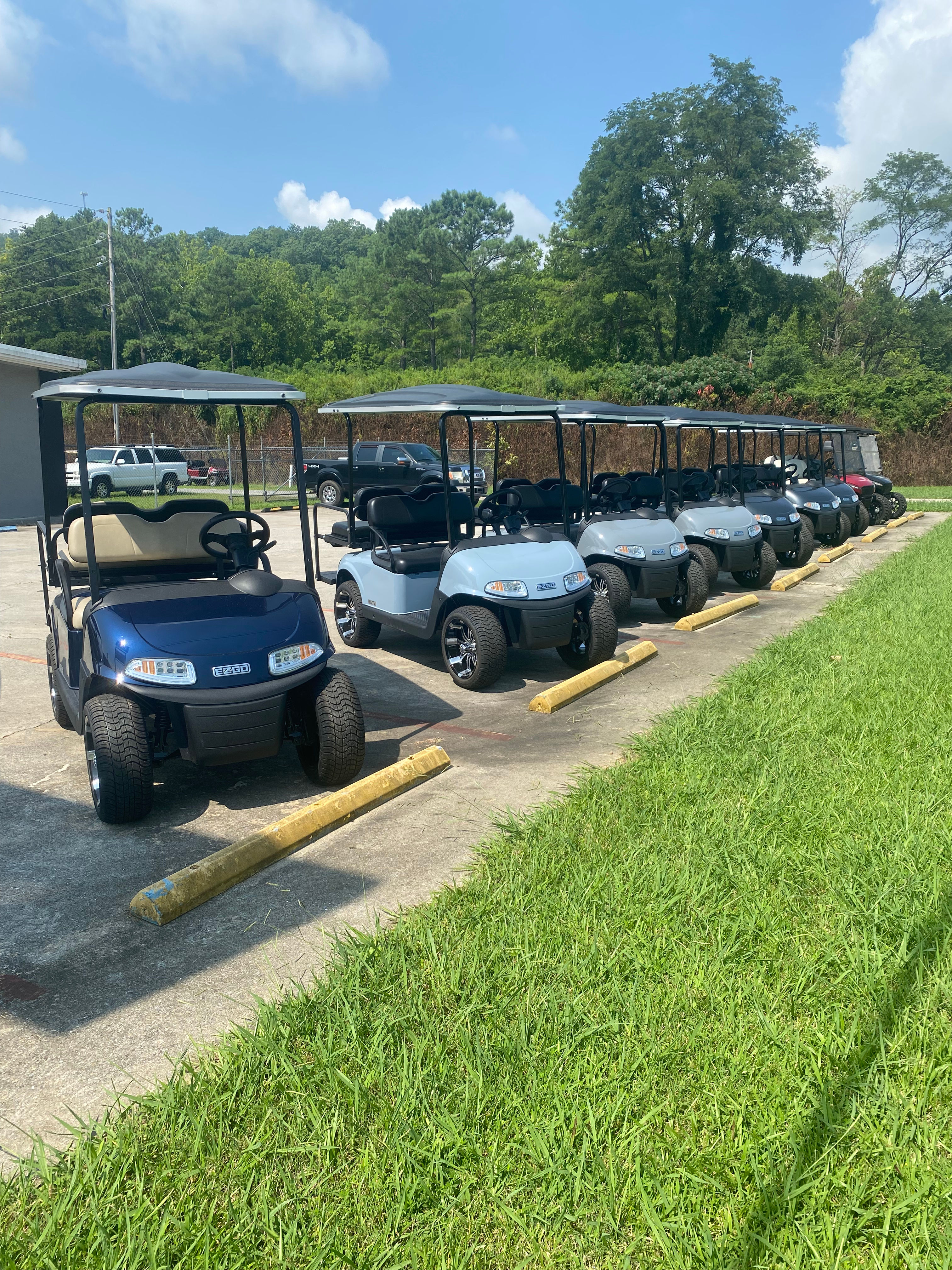 EZGO RXV ELITE LITHIUM