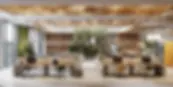 office01.webp