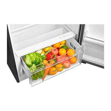 Thumbnail: Toshiba 530L PureBIO Origin Inverter Two Door Refrigerator