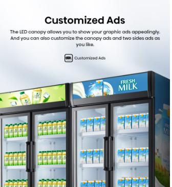 Thumbnail: Hisense 600L Beverage Chiller HSC-620WED