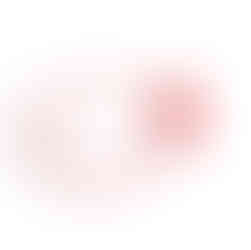 seal tag for clothing