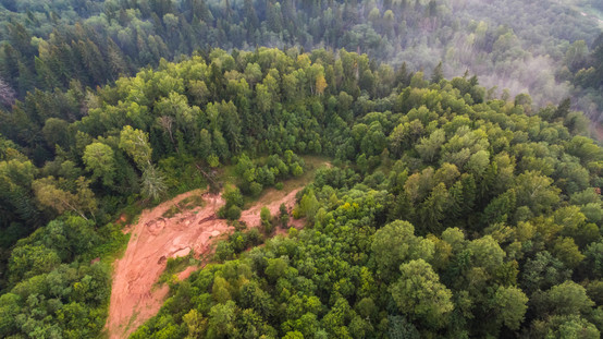 Aerial Photo of a Forest