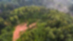 Aerial Photo of a Forest   