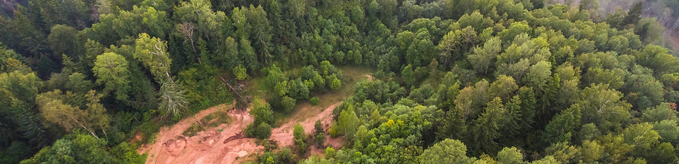 Foto aérea de un bosque