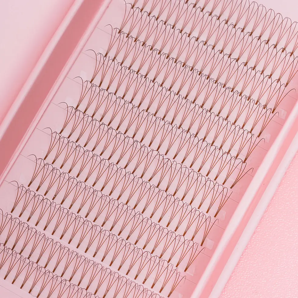 Lash Trays
