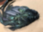Bird Hat